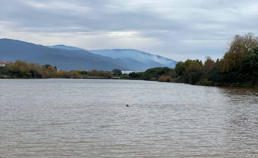 Еще три водоема признали безопасными для купания на Ставрополье