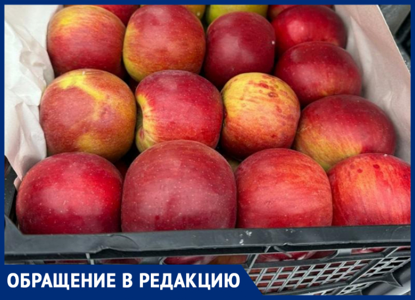 Жители не видят плоды «яблочного королевства» Ставрополья на прилавках местных магазинов  