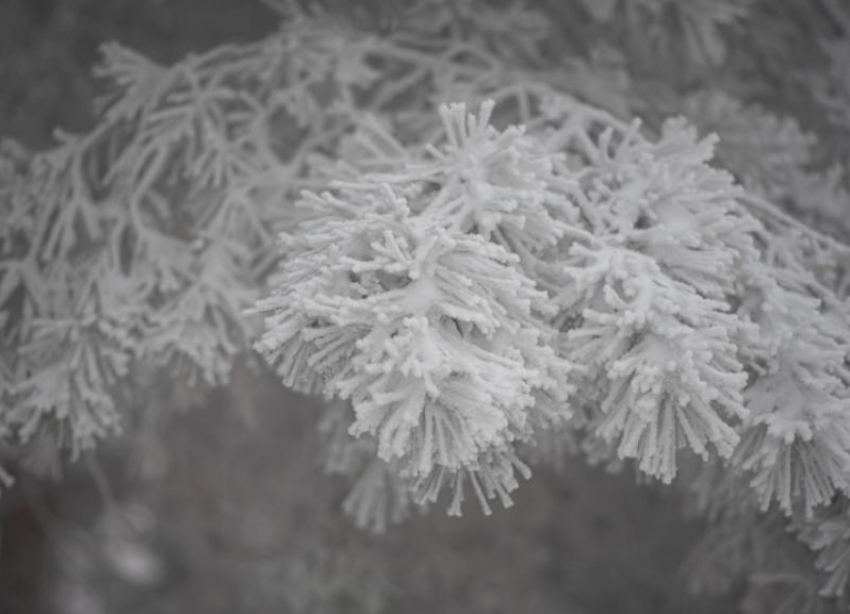 Температурные качели от -12 до +3 грядут на Ставрополье 22 января 
