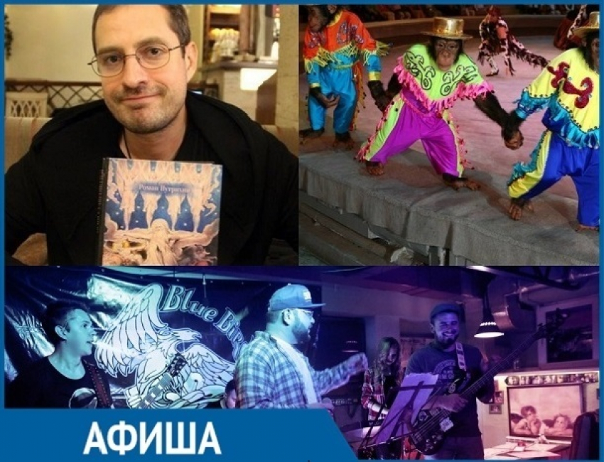 «Волшебная тайна Нового года» и «The new year fest»: топ самых ярких событий недели в Ставрополе 