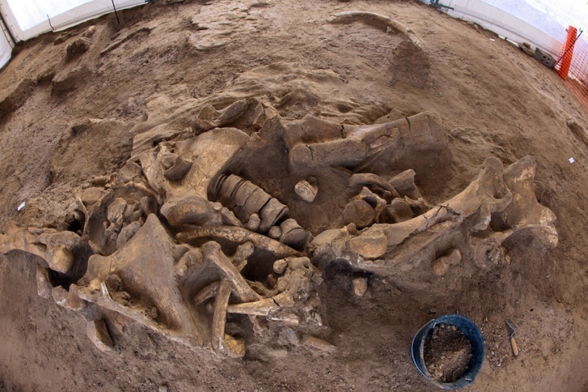 Человеческие останки обнаружили в Кисловодске на территории цеха