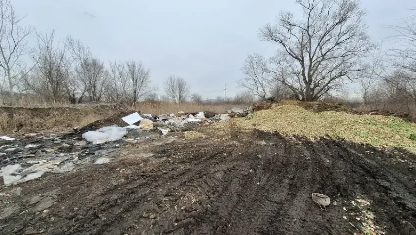 На крупной тюльпановой ферме в Ставропольском крае нашли свалку из луковиц цветов и шифера