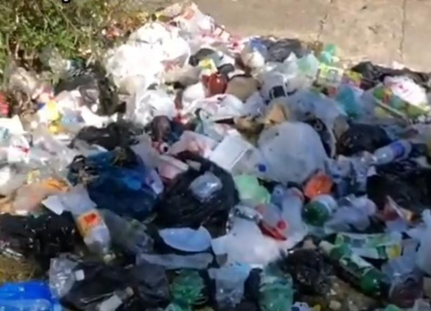 Территория Нового озера в Кисловодске превращается в мусорную свалку