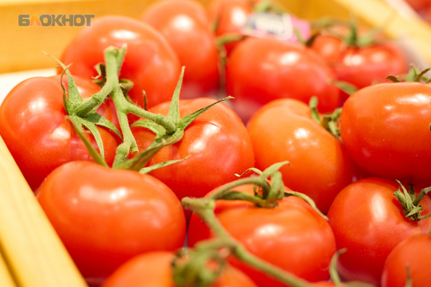 Ценник за кило помидоров перешел отметку 180 рублей в Ставрополе 