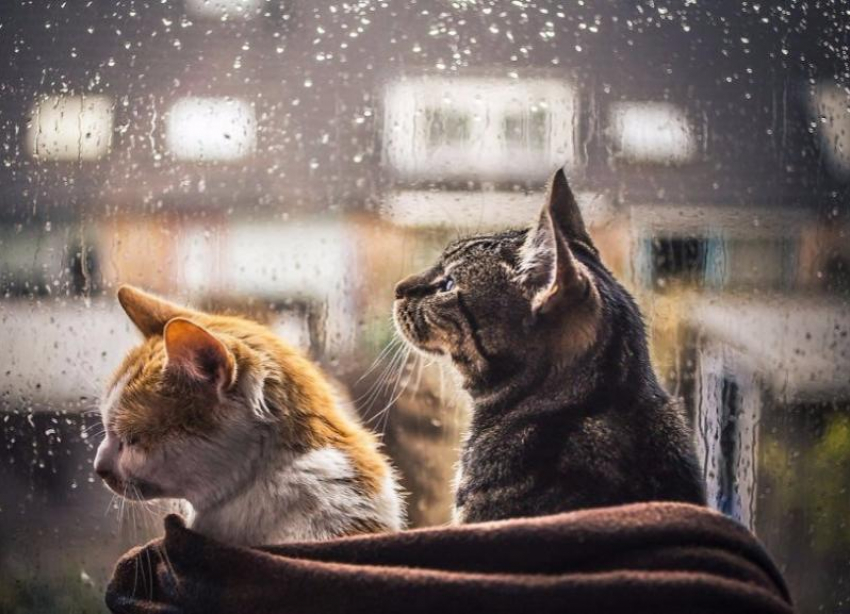 В среду в Ставрополе будет тепло, но дождливо