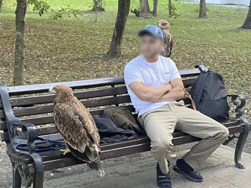 Орлов забрали у организаторов платных фотосессий в Курортном парке Ессентуков