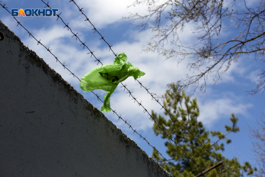 Еще более 5 миллиардов потратит Эко-Сити на вывоз ТКО в Ставрополе