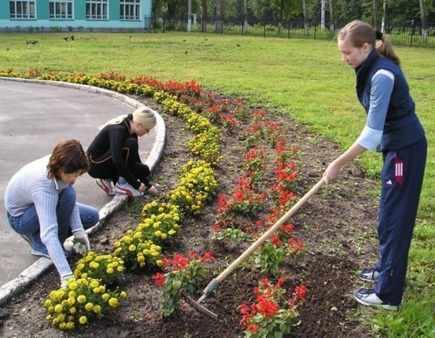 Школьников Ставрополья трудоустроили в свободное от учебы время