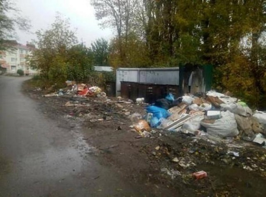 Трупы крыс и помойные кучи «украсили» Михайловск после отказа коммунальщиков посылать мусоровозы к частным домам