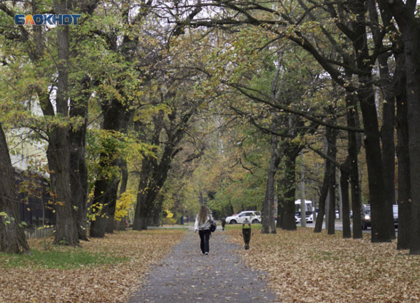 Почти 50 миллионов рублей потратят на благоустройство сквера в Ставрополе