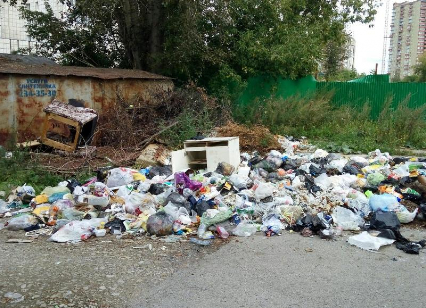 В Ставрополе прокуратура помогла ликвидировать свалку