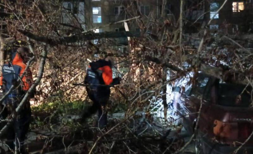 Ураганный ветер повалил деревья в Пятигорске и вновь оставил без света Ессентуки