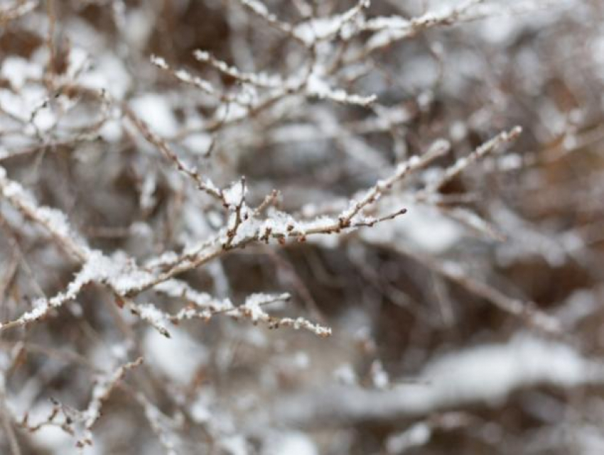 Снегу на Рождество в Ставрополе быть, но мало — прогноз погоды на 7 января