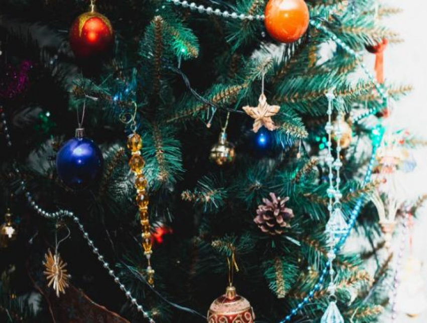 Около 46% ставропольчан украшают елку в конце декабря
