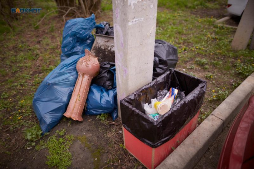 В топ-10 по увеличению количества несанкционированных свалок в 2023 году попало Ставрополье