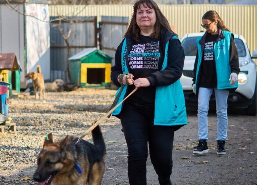 Партия «Новые люди» и фонд «Экосфера» подготовили к зиме приют «Лучший друг»