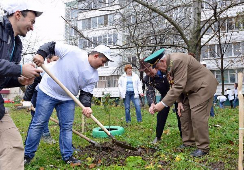 ЕвроХим высаживает зеленые насаждения в Невинномысске и на Мамаевом кургане