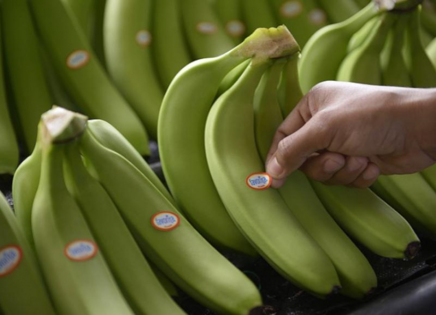 Банановая диета как панацея от короновируса
