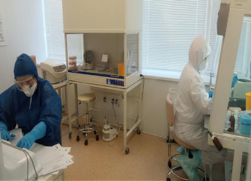 Минздрав Ставрополья рассказал как проводят анализ на коронавирус