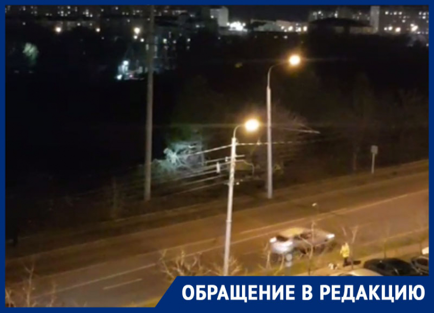 Деревья сносят бульдозером под покровом ночи в Ставрополе