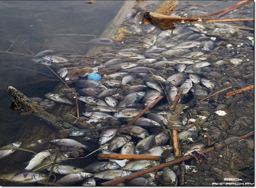 В Иноземцево озеро Каррас отравлено канализационными водами