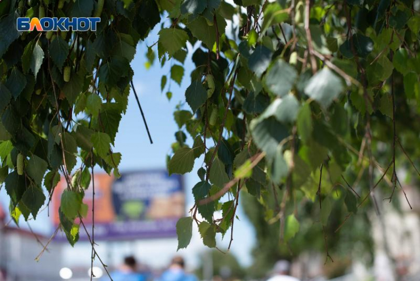 Опять льет дождь? Погода огорчит ставропольцев в воскресенье 24 мая