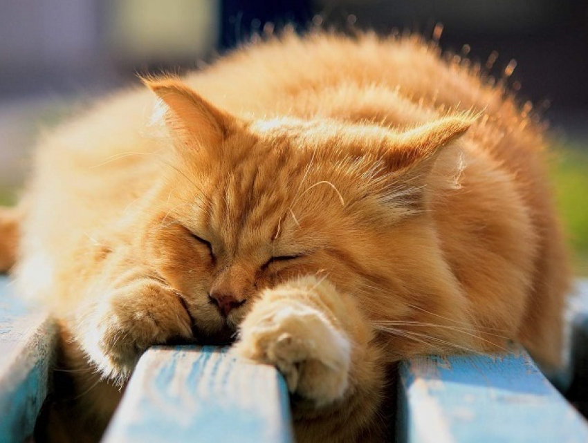 Тепло и солнечно будет в Ставрополе во вторник