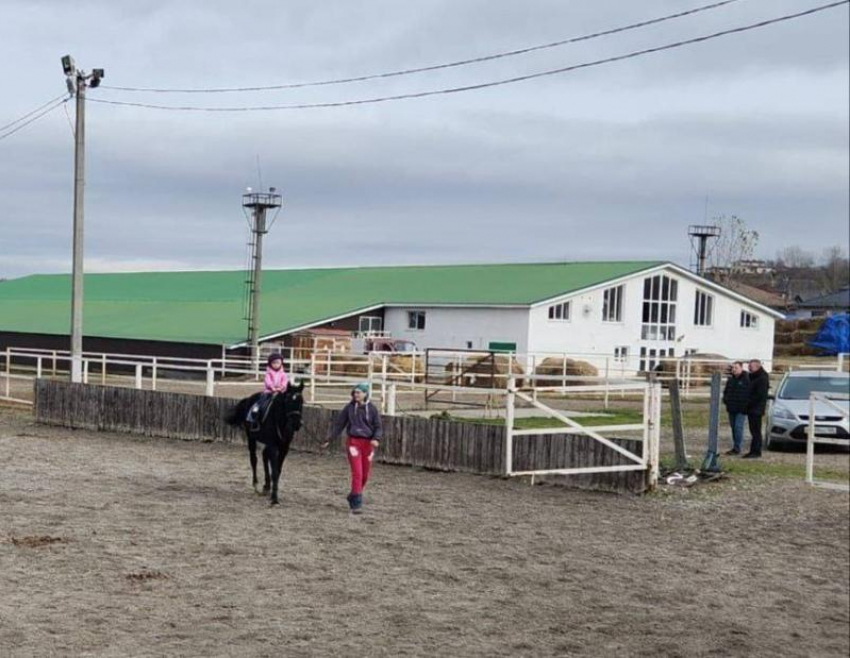 Глава Железноводска предложил забрать часть лошадей с конезавода в Александровском округе в конюшню