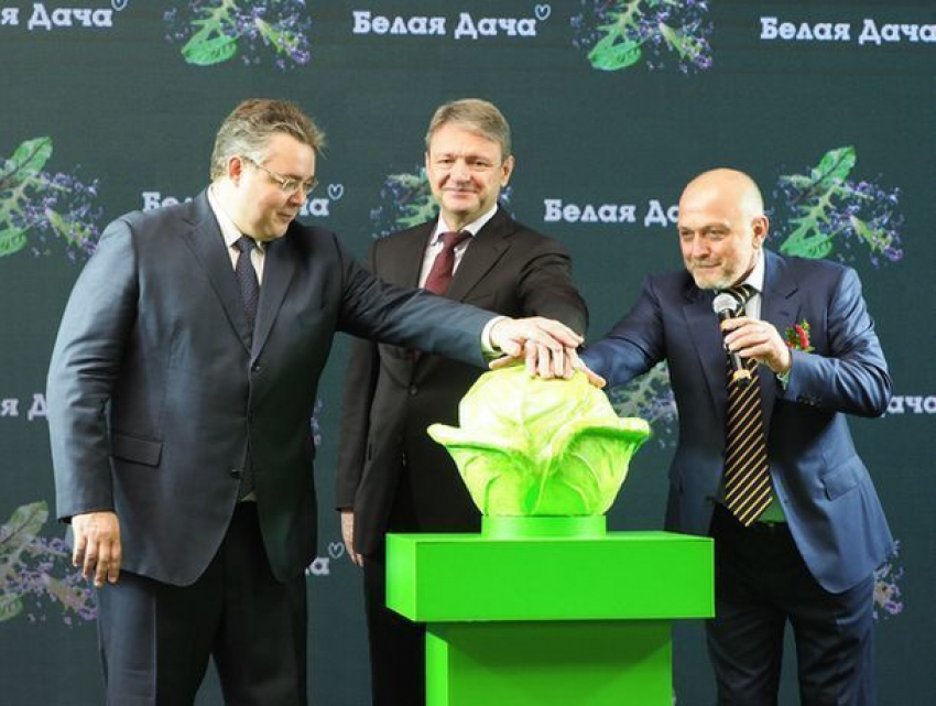 Первую в России рукколу будут выращивать на Ставрополье роботы
