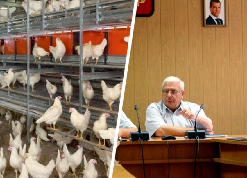 Председатель думы Кировского горокруга задолжал работникам своей птицефабрики 150 тысяч рублей
