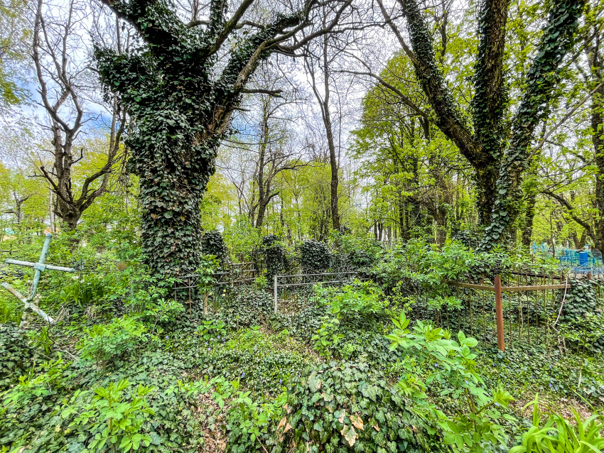 Больше 4,5 миллиона потратят на содержание недействующих кладбищ в Ставрополе