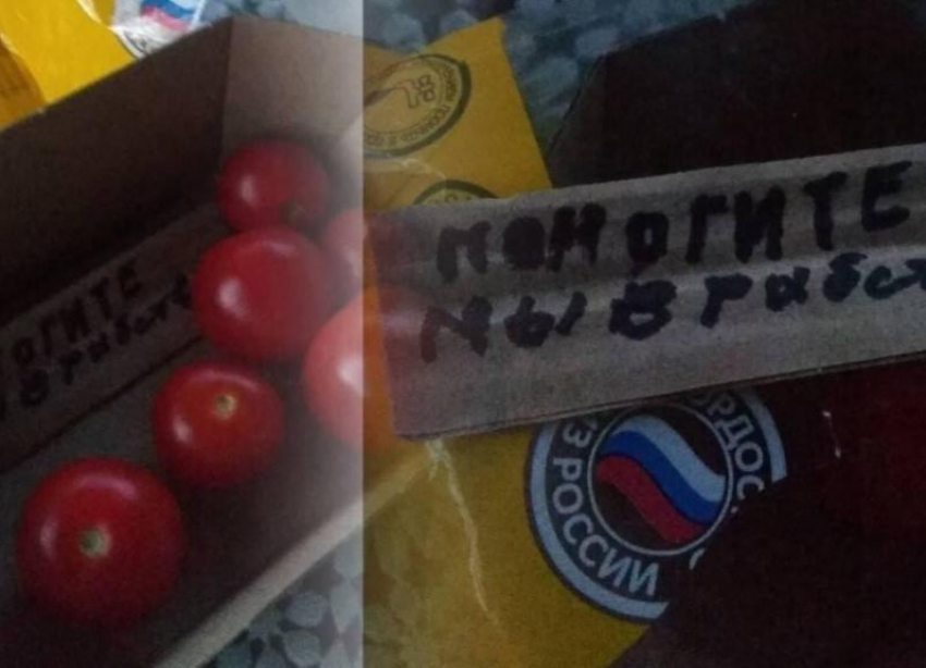 Мы в рабстве: новосибирка обнаружила в ставропольских помидорах призыв о помощи
