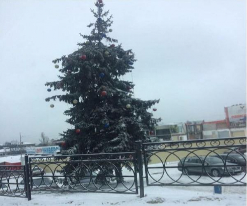 «Пьяной елкой» назвали жители новогоднюю красавицу в Пятигорске