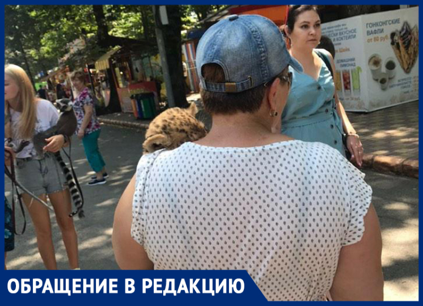 В Ставропольском парке Победы люди издеваются над дикими животными 