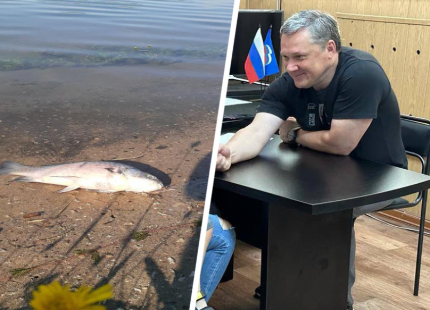 Глава Пятигорска наконец-то прокомментировал гибель рыбы в Новопятигорском озере