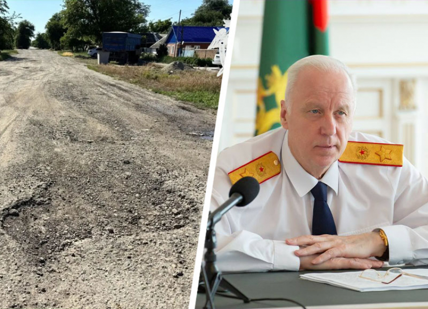 Александр Бастрыкин потребовал доклад из-за разбитой дороги в Ипатово