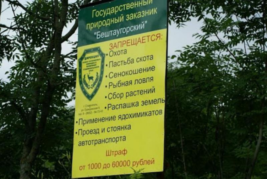 Власти Ставрополья попытались прикрыться собственниками в суде за «Бештаугорский заказник»