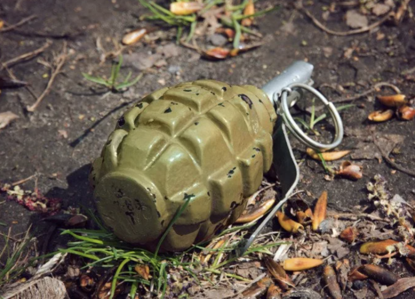 Похожие на гранаты предметы обнаружили на улице в Ессентуках 