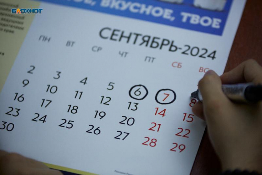 Заранее подать заявление для голосования по месту жительства предложили ставропольским избирателям