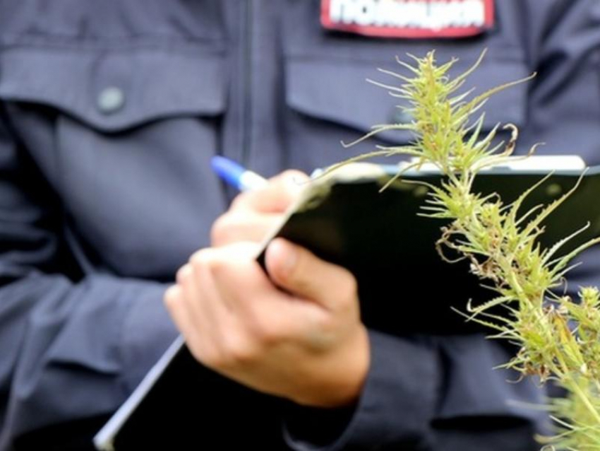 На Ставрополье экс-полицейский признался во взяточничестве и фальсификации уголовных дел
