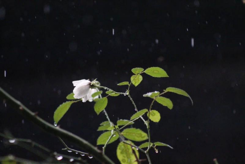 Штормовое предупреждение из-за грозы и града продлили на Ставрополье