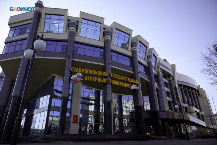 Замдиректора института Ставропольского государственного аграрного университета продлили арест за взятку