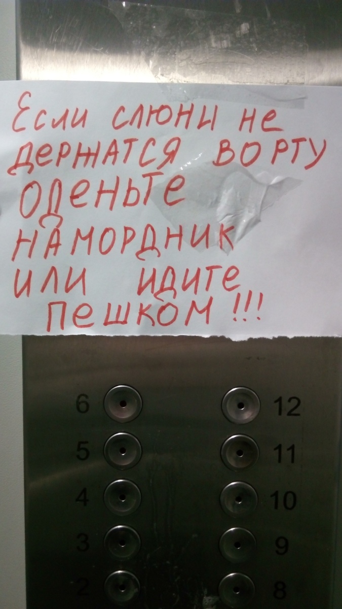 За «мусорный полигон» в квартире могут лишить жилья | Москва. Северо-Запад