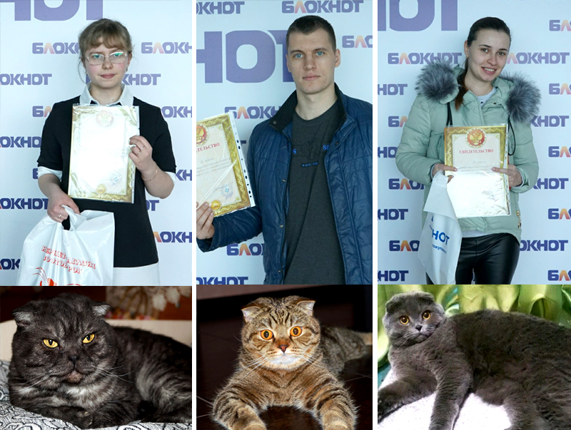 Коты награждение.jpg