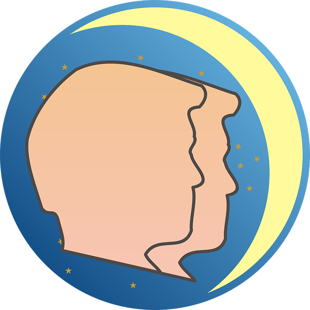 gemini-2298596_640.png gemini-2298596_640.png