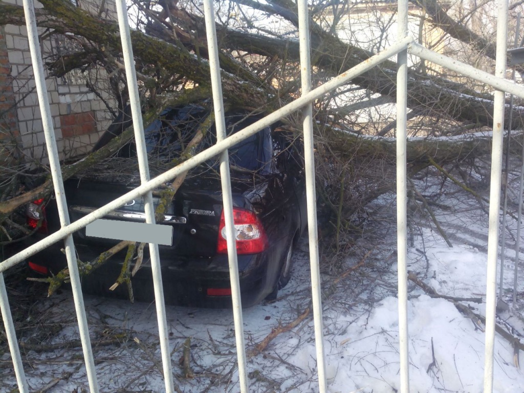2.JPG