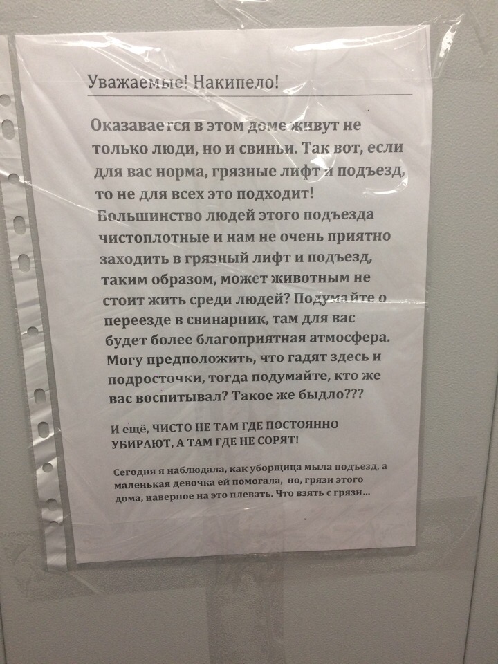 Дом или свинарник: власти Медвежьегорска не видят разницы? | Черника