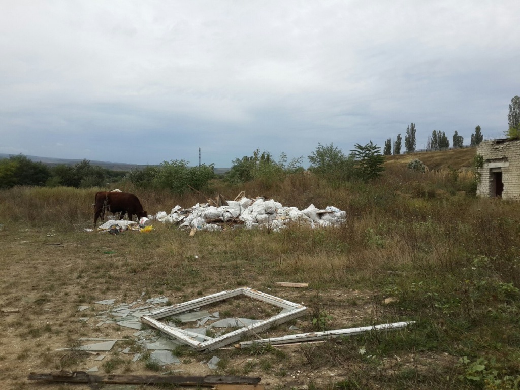 свалка 3.jpg