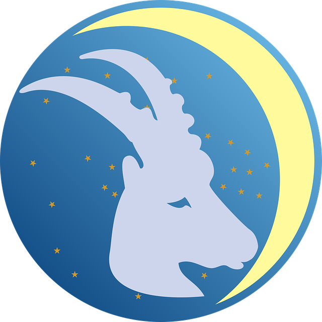 capricorn-2542608_640.png capricorn-2542608_640.png