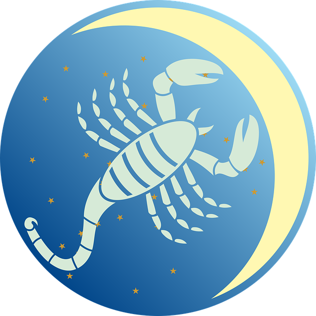 scorpio-2367640_640.png scorpio-2367640_640.png